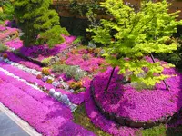 芝桜庭園樹木葬｜永代供養墓の写真・動画_image_1348848