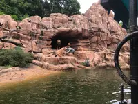 東京ディズニーランドの写真・動画_image_1349148