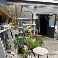 世田谷ガーデン倶楽部の写真・動画_image_1351179