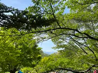 松本市アルプス公園の写真・動画_image_1351362