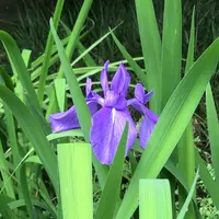泉谷公園の写真・動画_image_1354888