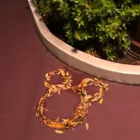 東京ディズニーシーの写真・動画_image_1355866