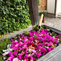 於菊稲荷神社の写真・動画_image_1356631