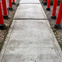 於菊稲荷神社の写真・動画_image_1356634