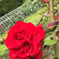 千葉市都市緑化植物園の写真・動画_image_1358685