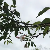 支川都川の写真・動画_image_1358771