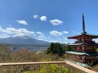 新倉山浅間公園の写真・動画_image_1359016