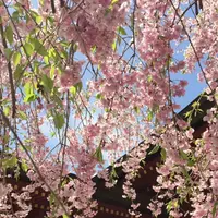 武蔵御嶽神社の写真・動画_image_1360729