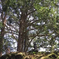 御岳山の写真・動画_image_1360749