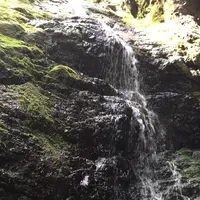 御岳山の写真・動画_image_1360751