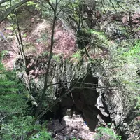 御岳山の写真・動画_image_1360752