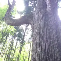 御岳山の写真・動画_image_1360753