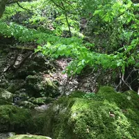 御岳岩石園ロックガーデンの写真・動画_image_1360767
