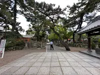 住吉大社の写真・動画_image_1361254