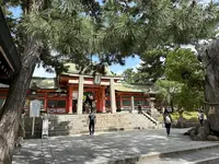 住吉大社の写真・動画_image_1361264