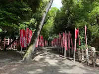 住吉大社の写真・動画_image_1361283