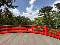 住吉大社の写真・動画_image_1361291
