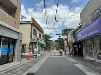 住吉大社の写真・動画_image_1361313