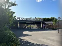 天王寺動物園の写真・動画_image_1361408