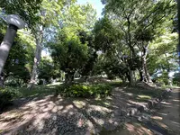 茶臼山（天王寺公園）の写真・動画_image_1361422