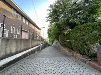 天王寺七坂「愛染坂」の写真・動画_image_1361596