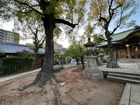 高津宮（高津神社）の写真・動画_image_1361619