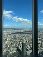 ハルカス300 展望台の写真・動画_image_1362004