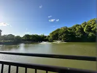 天王寺公園の写真・動画_image_1362034