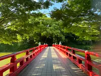 天王寺公園の写真・動画_image_1362038