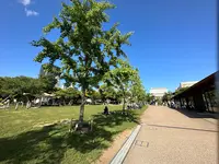 てんしばの写真・動画_image_1362054