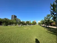 てんしばの写真・動画_image_1362056