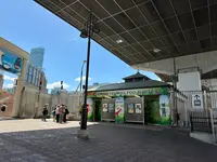 天王寺動物園の写真・動画_image_1362235