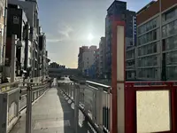道頓堀の写真・動画_image_1362721