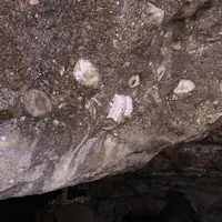 猿島の写真・動画_image_1363093