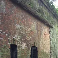 猿島の写真・動画_image_1363094