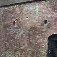 猿島の写真・動画_image_1363095