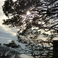 猿島の写真・動画_image_1363097