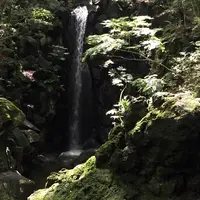 成田山公園の写真・動画_image_1363102