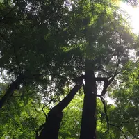 成田山公園の写真・動画_image_1363103