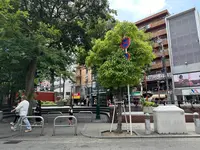 御津公園（三角公園）の写真・動画_image_1363676