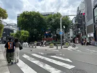 御津公園（三角公園）の写真・動画_image_1363678