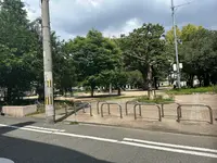 堀江公園の写真・動画_image_1363693