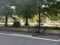 堀江公園の写真・動画_image_1363696