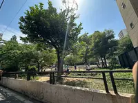 堀江公園の写真・動画_image_1363699