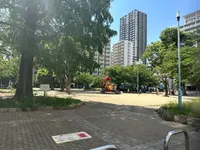 堀江公園の写真・動画_image_1363702