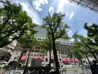 大丸 心斎橋店の写真・動画_image_1364260