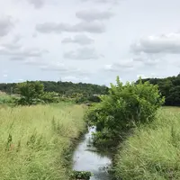 支川都川の写真・動画_image_1364299