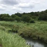 支川都川の写真・動画_image_1364343