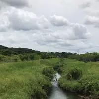 支川都川の写真・動画_image_1364344