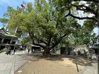 難波神社の写真・動画_image_1364442